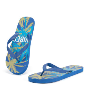 Ανδρικές Καλοκαιρινές Σαγιονάρες Μπλε Με Φοίνικες MEI250573